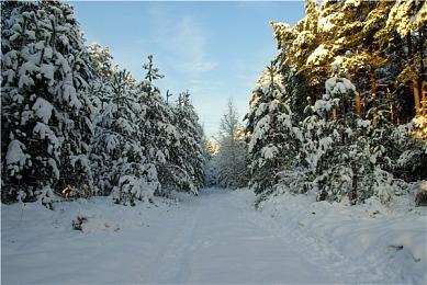 兑现承诺 《咩咩启示录》发布“肉体之罪”更新宣传预告片